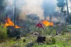 Firefighter Steven Thime hops onto a tree stump to survey the progress of a prescribed burn in Okanogan-Wenatchee National