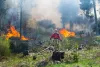 Firefighter Steven Thime hops onto a tree stump to survey the progress of a prescribed burn in Okanogan-Wenatchee National