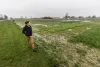Deirdre Griffin LaHue, WSU assistant professor of soil quality and sustainable soil management, walks near the cover crop