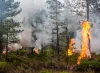 A pile burning operation in the Deschutes National Forest in fall 2014.