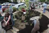 Grants helped pay for this rain garden to be built in West Seattle. Property owners who choose to build rain gardens see it