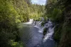 Butte Falls, with community forest on either side of Big Butte Creek, a tributary of the Rogue River.