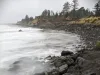 Washington’s seasonal king tides, shown here at Washaway Beach in November 2022, are becoming more destructive as sea levels