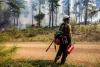 A firefighter watches a prescribed burn as it approaches a forest road that will be used to contain the fire in