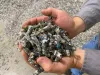 Jay Schabel, president of the plastics division at Brightmark, holds plastic pellets in his hand the company's chemical