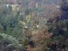 Houses nestled into the forest near Ridge Road in Ashland, OR. This type of development is increasingly expensive to defend