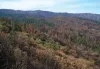 This image from Stanislaus National Forest in northern California after the 2013 Rim fire shows how fires often burn in a