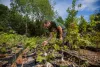 Zak Scott inspects baby trees at CitySoil Farm in Renton, Washington, on June 28, 2019.