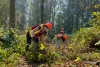 Students at the British Columbia Institute of Technology restore wetlands as part of a three-day field course. BCIT offers