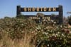 Oregon regulators fine polluting wood treater $1 million, allow it to keep operating