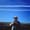 Eli Francovich / Columbia Insight