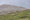 A caribou herd forages for vegetation on a hill in Alaska.