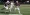 The “Rattled” project’s data analysis showed that Oregon football programs at schools with athletic trainers were three