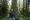 What does the future hold for Oregon’s family-owned forests?