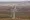 The Wild Horse wind and solar farm east of Ellensburg, Washington on Whiskey Dick Mountain generates electricity for