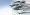 InvestigateWest seeks collaboration partners across Pacific Northwest