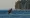 Legislature won't ban orca-watching boats in Puget Sound