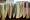 The Public Records Law Reform task force has a tough job ahead. Decades of accumulated exemptions from disclosure